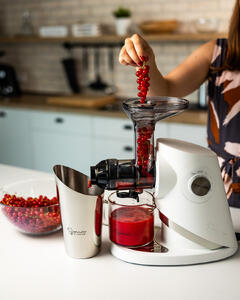 727 red currants 2 (1)