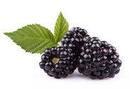 blackberries